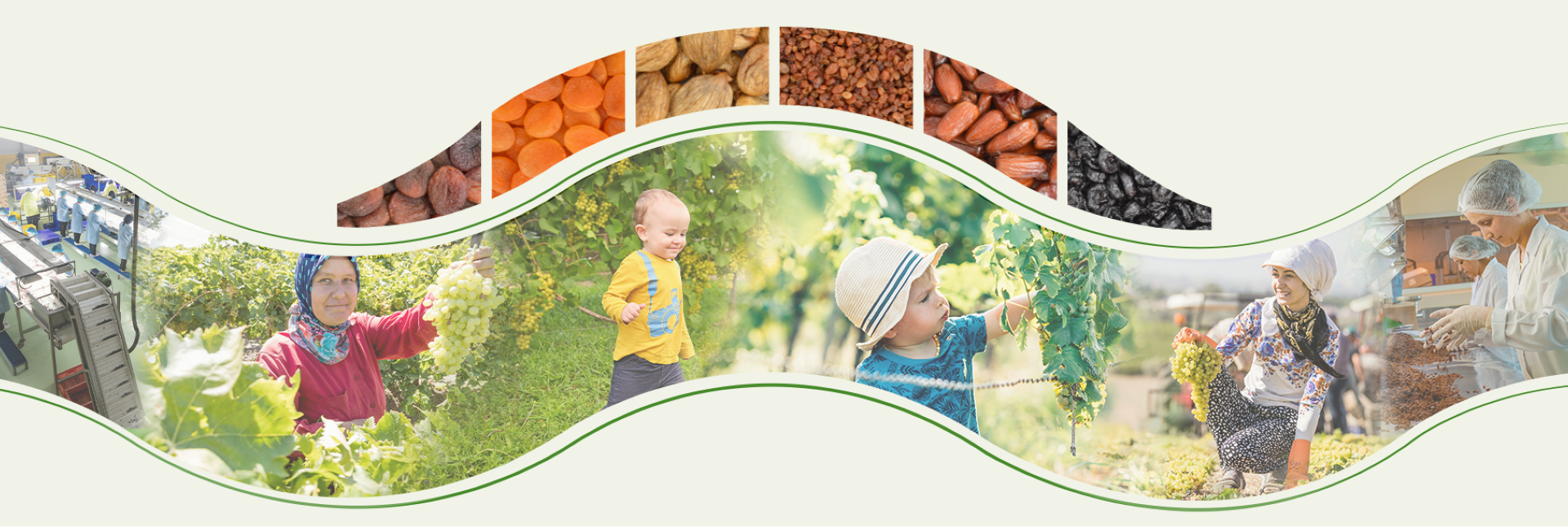 AGRICULTURE